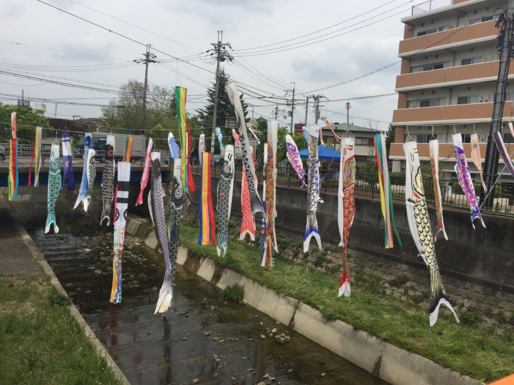 こいのぼりー天竺川