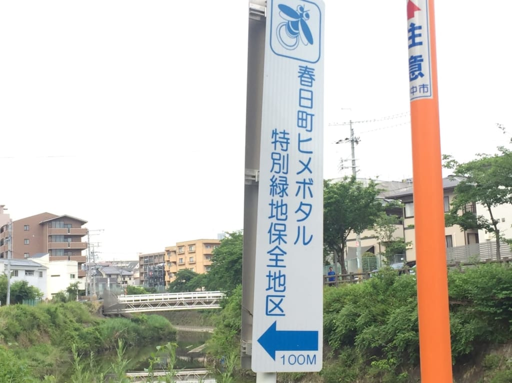 ホタル