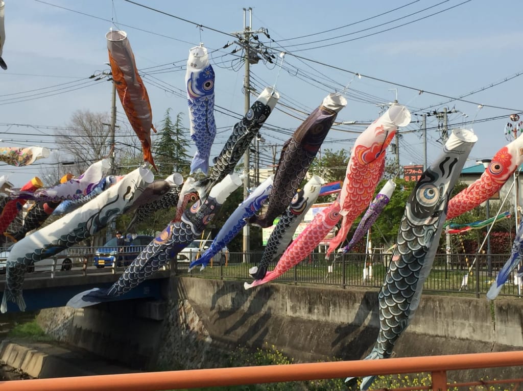 鯉のぼり