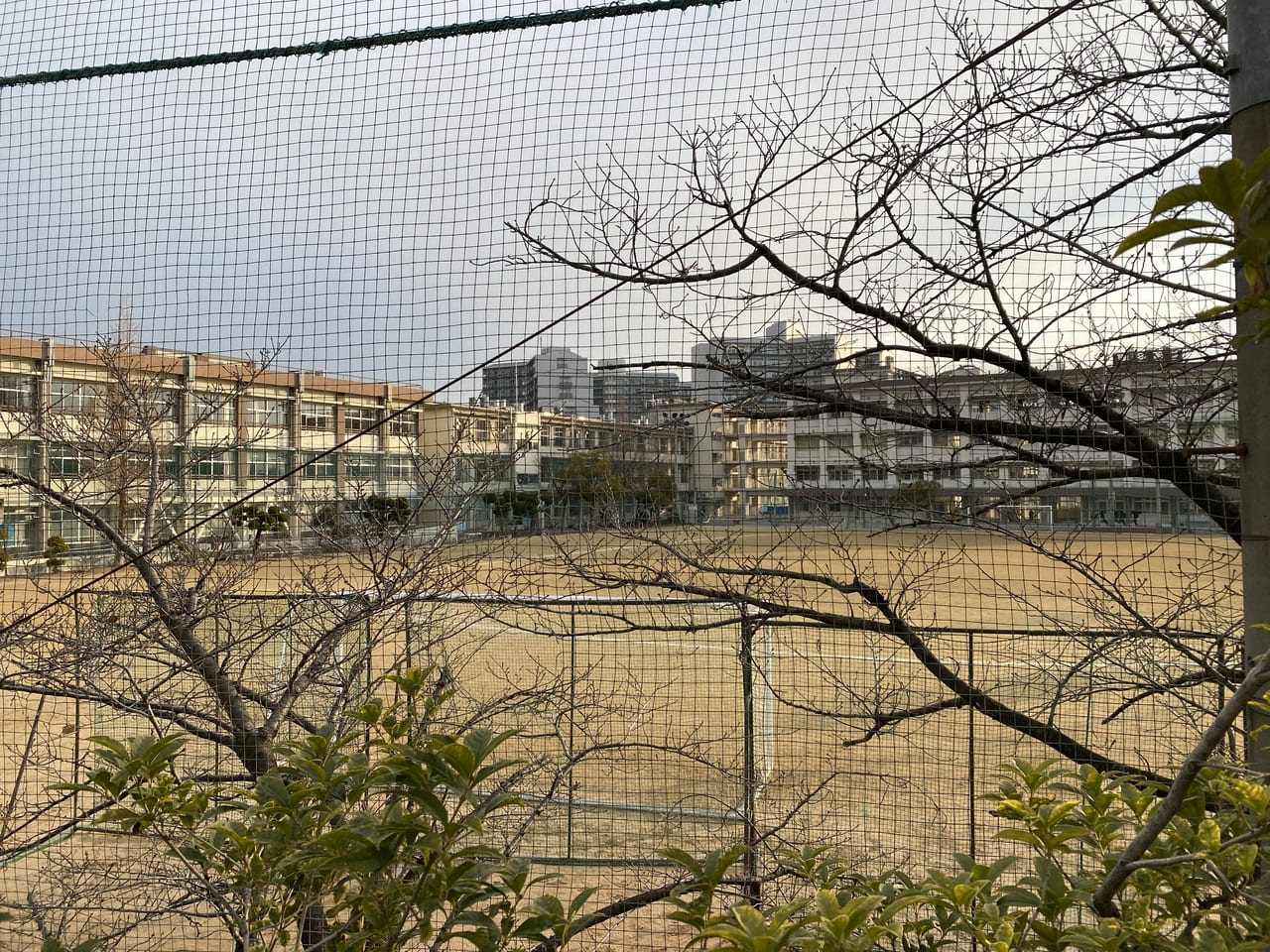 第四中学校