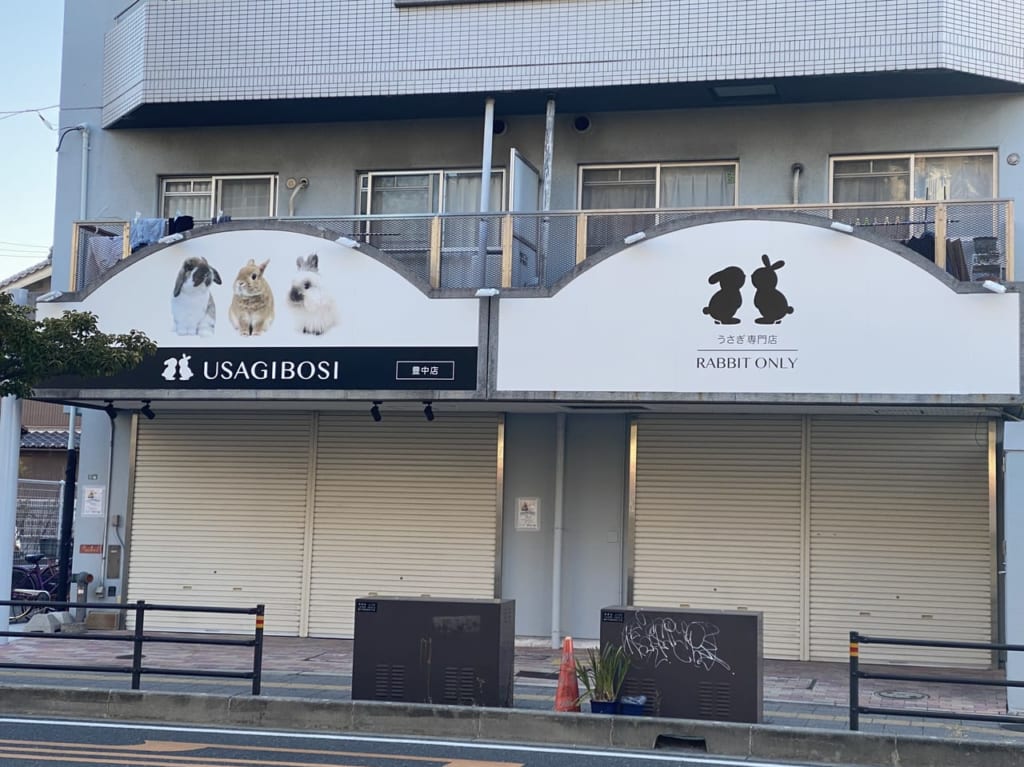 うさぎ星