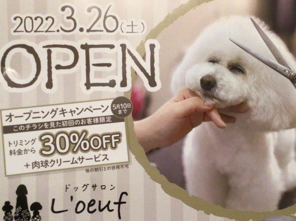ルフ