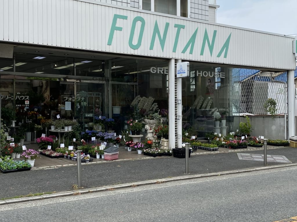 フォンタナ