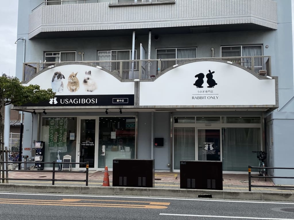うさぎ星