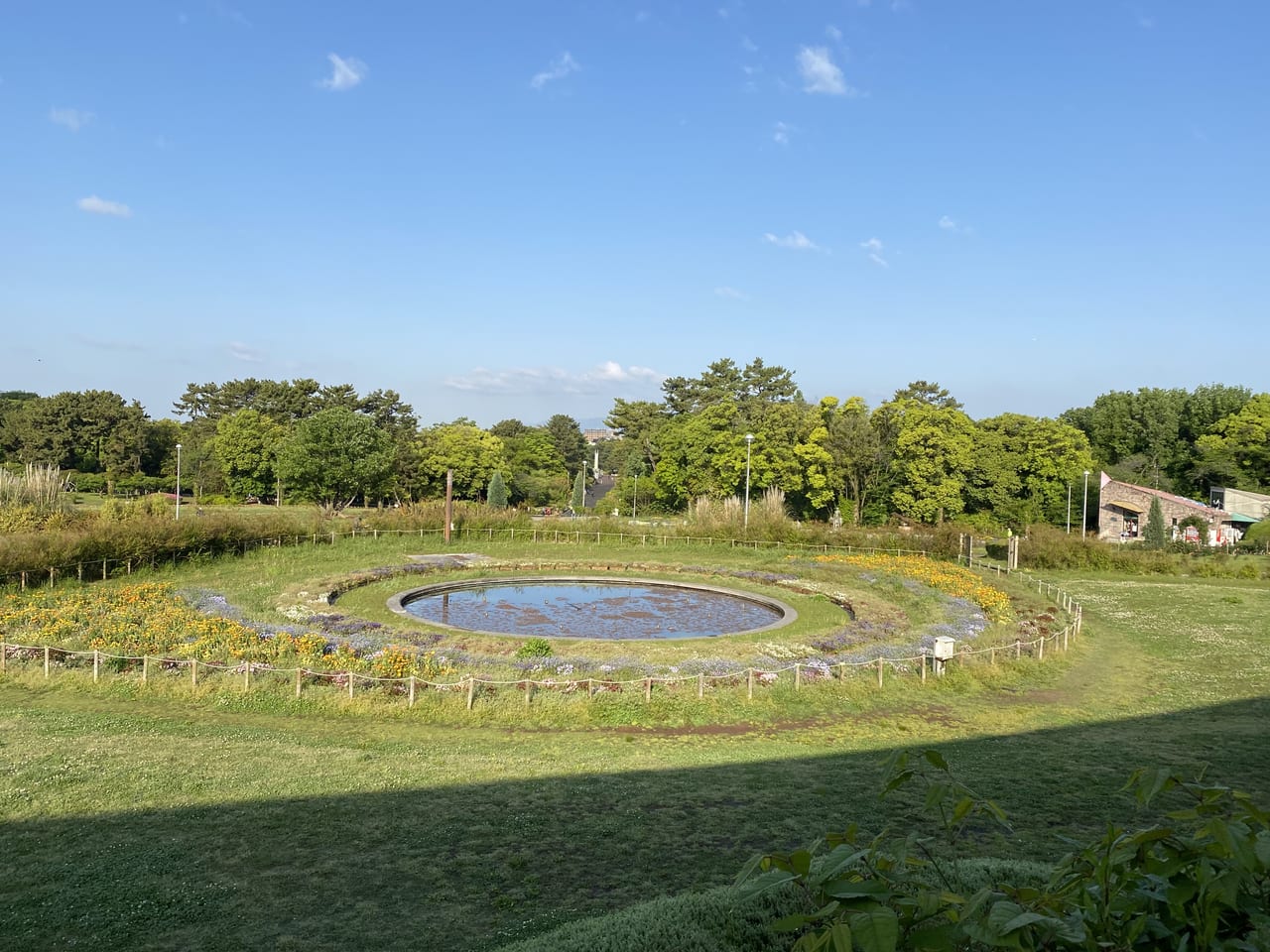 緑地公園　円形花壇