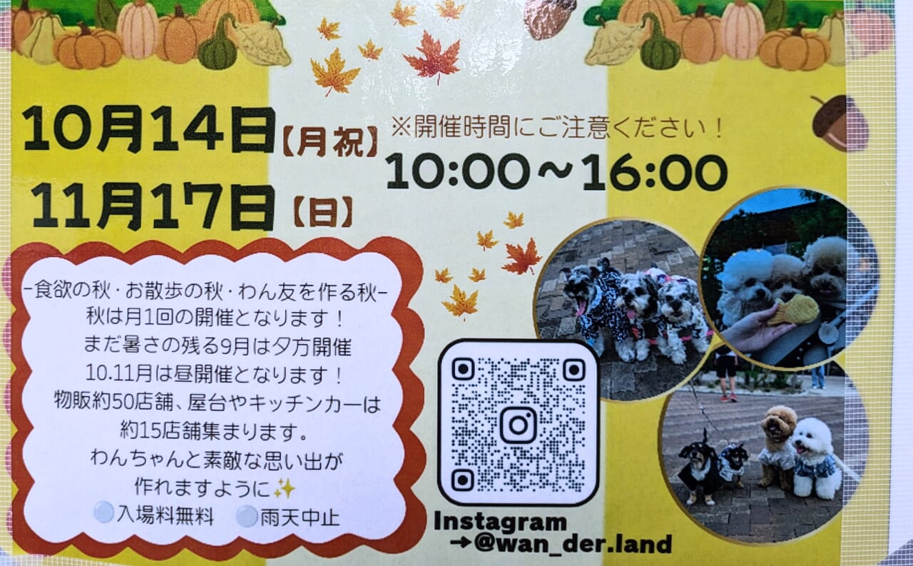 あつまれわんダーランド2024年10月11月の開催日時