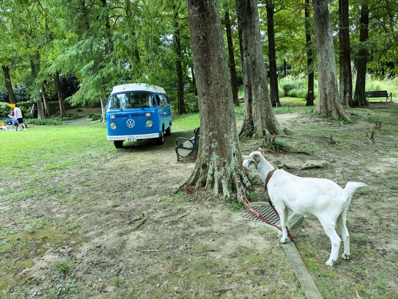 山羊草号から降ろされたひろし車掌