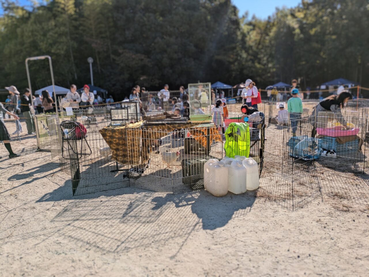 「とよなかっ子パラダイスランドin千里南町公園」ふれあい動物園