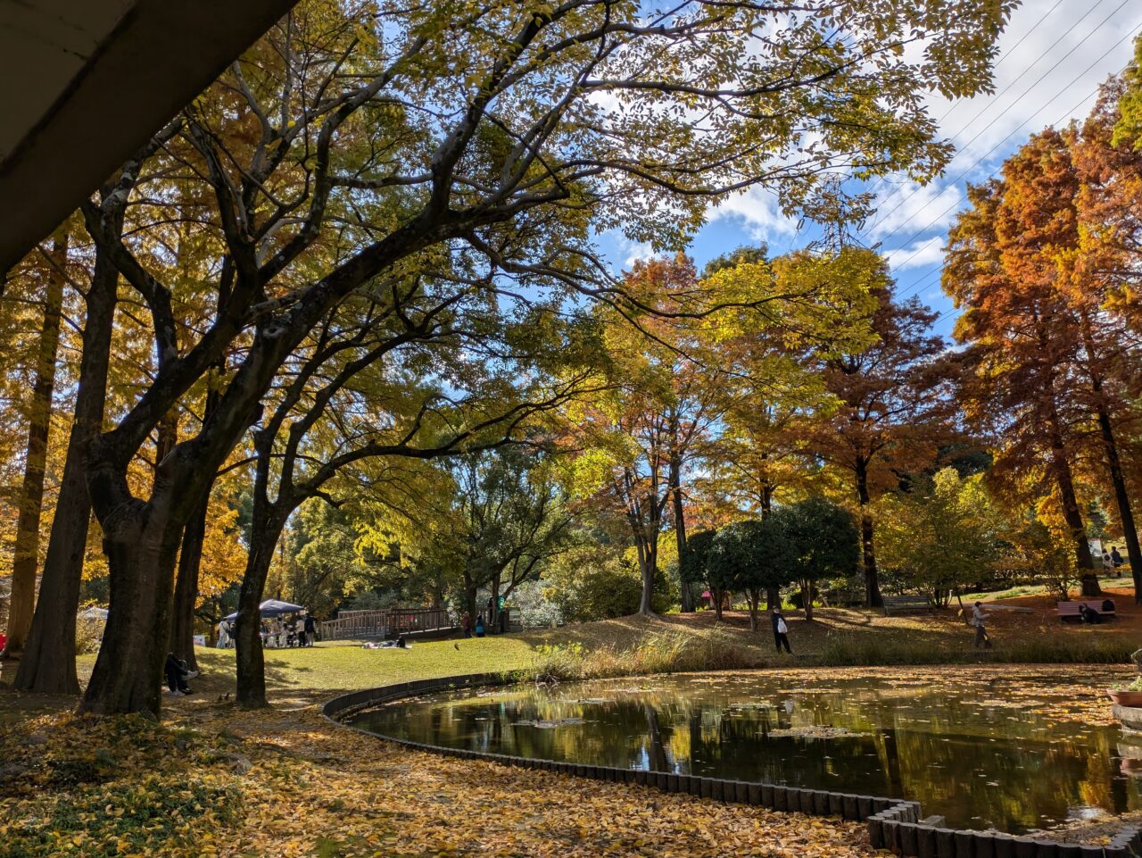 「ありがとうの日」服部緑地都市緑化植物園