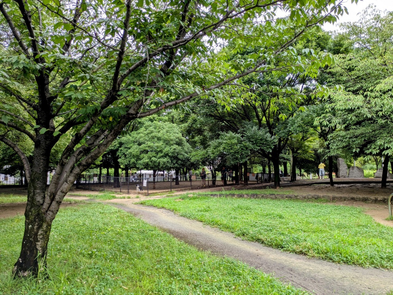 ふれあい緑地芝生広場2