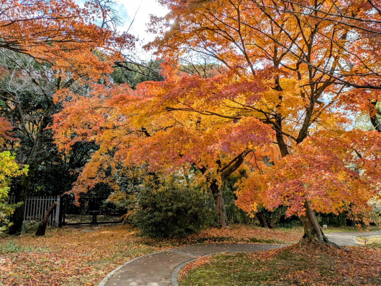 日本民家集落博物館風景