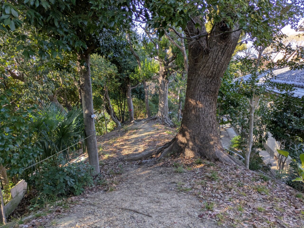 原田城跡　土塁