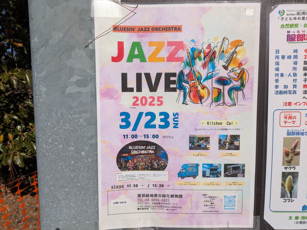 服部緑地緑化植物園
jazzlive　チラシ