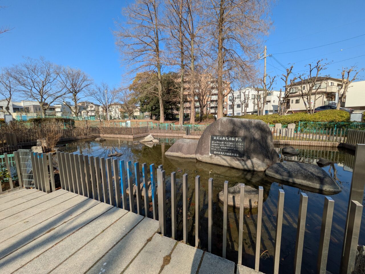 皿池公園　池