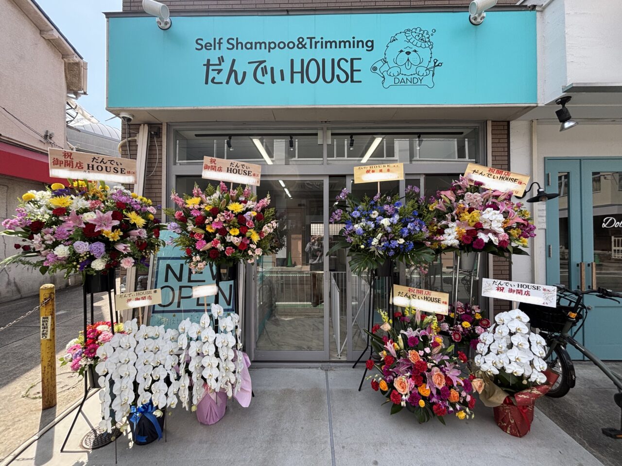 だんでぃHOUSE 店舗