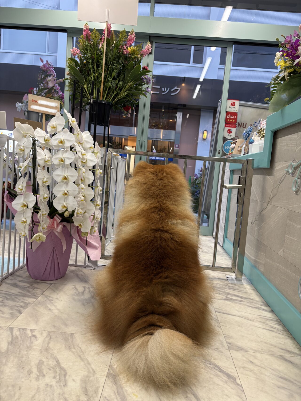 だんでぃHOUSE 店長だんでぃ君