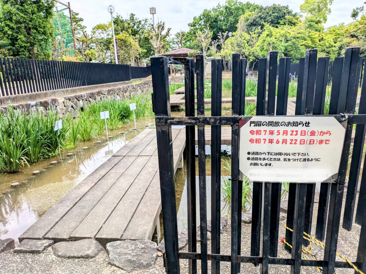 赤坂上池公園の花菖蒲園