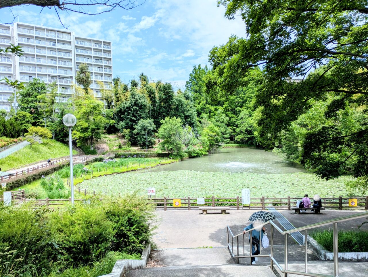 千里東町公園長谷池