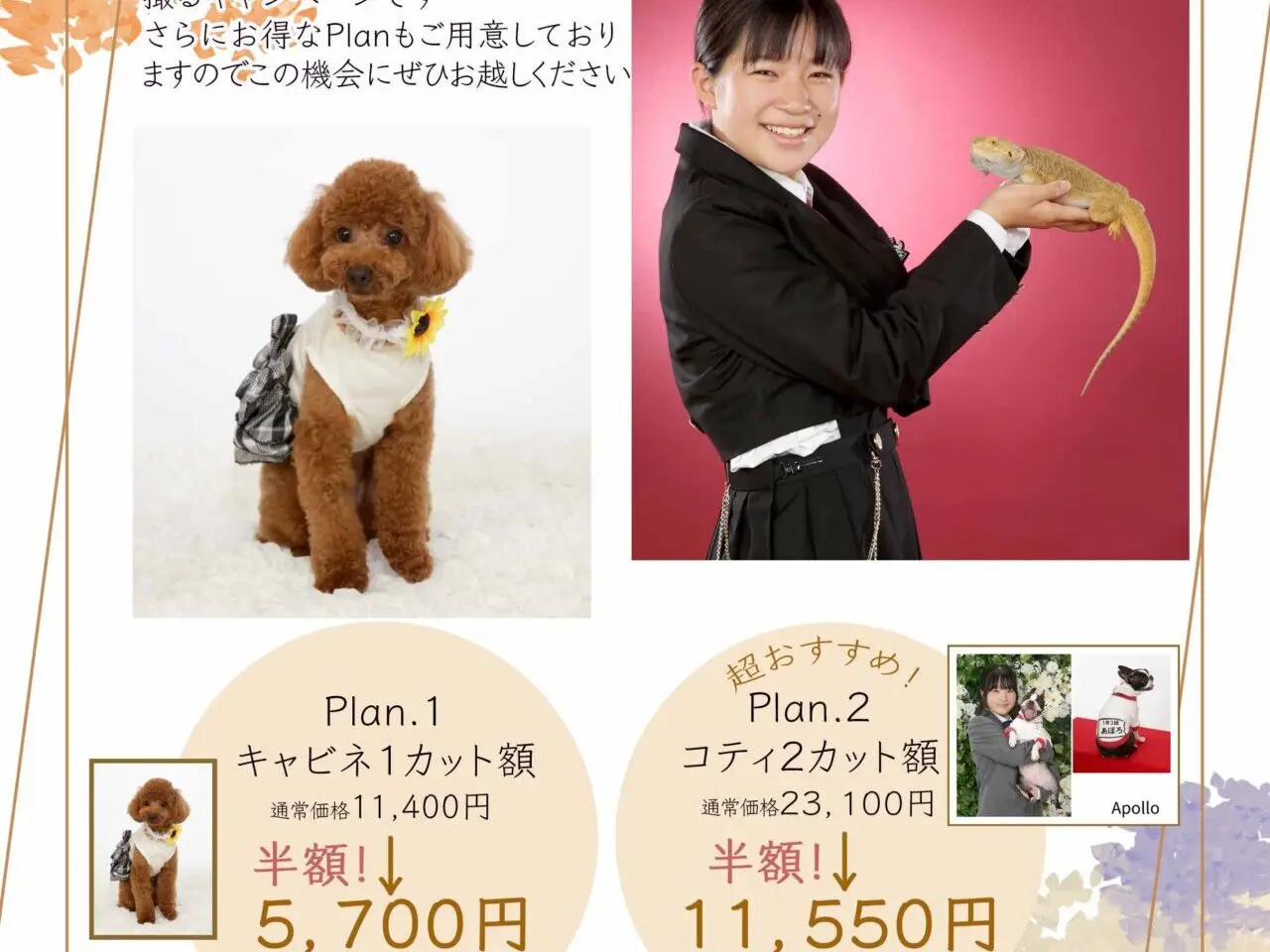 タグチスタジオ　withPet