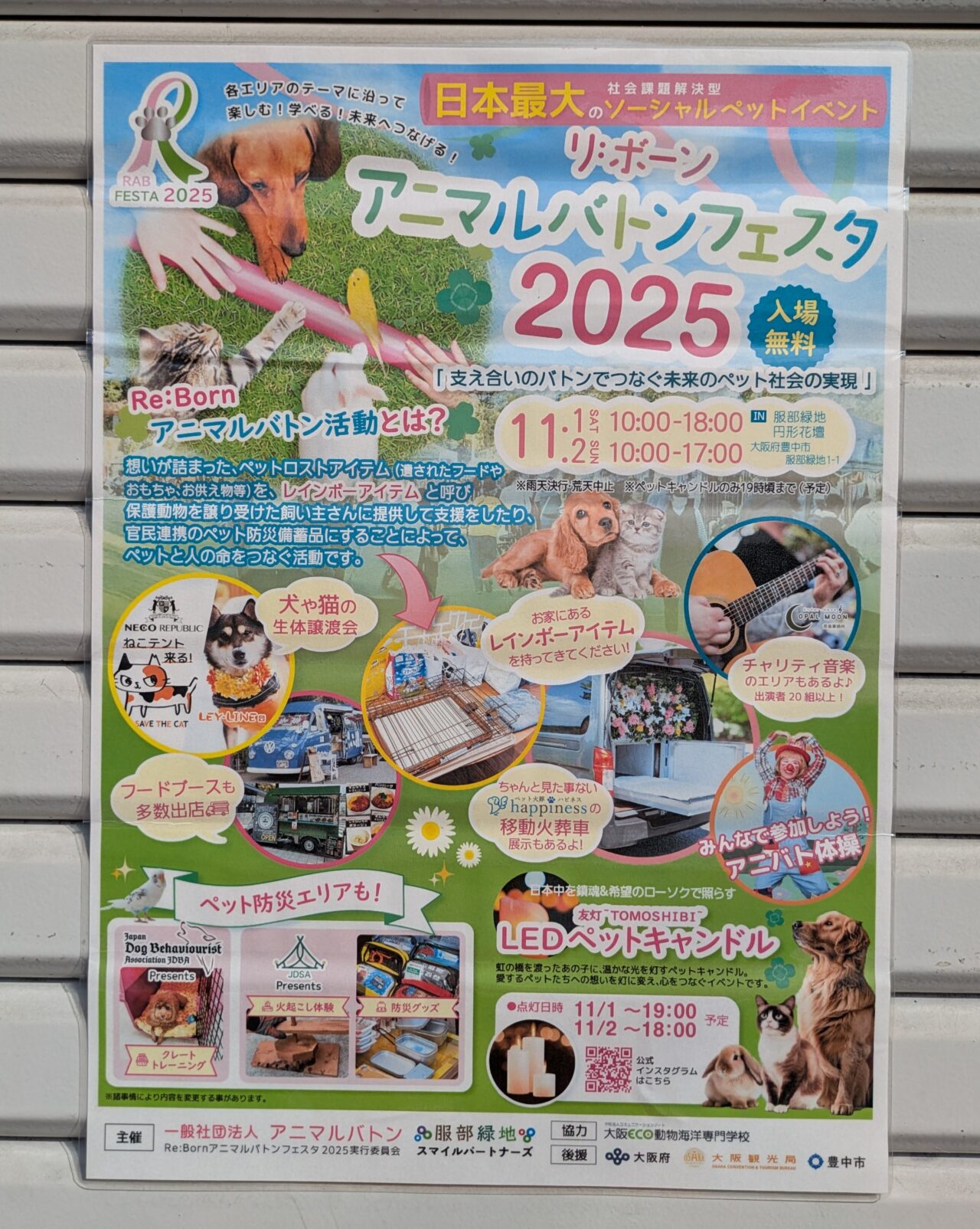 リ:ボーンアニマルバトンフェスタ2025