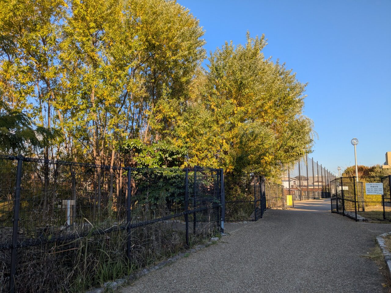 ふれあい緑地1街区