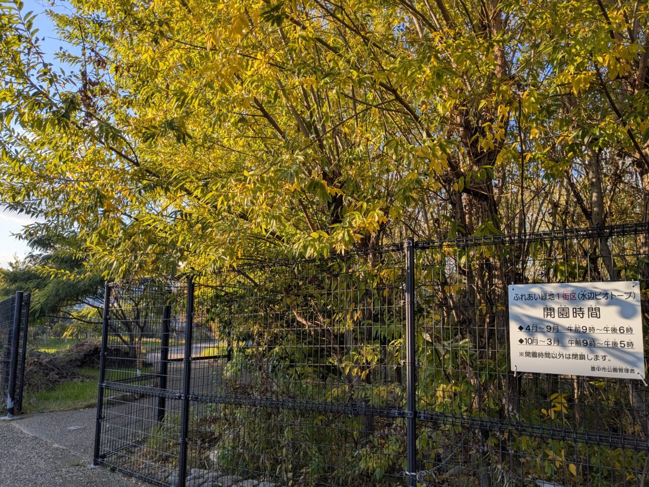 ふれあい緑地1街区