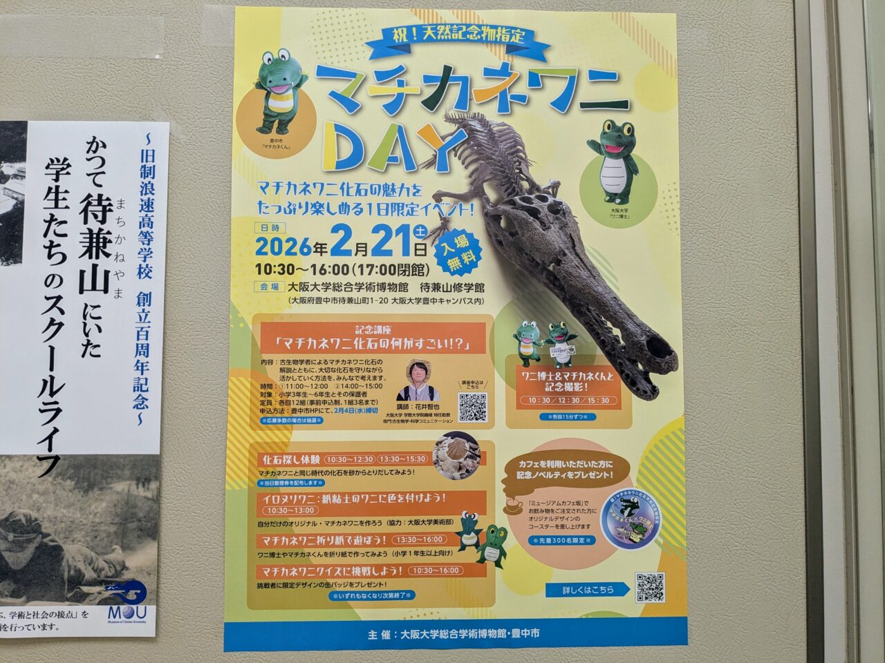 マチカネワニDAY