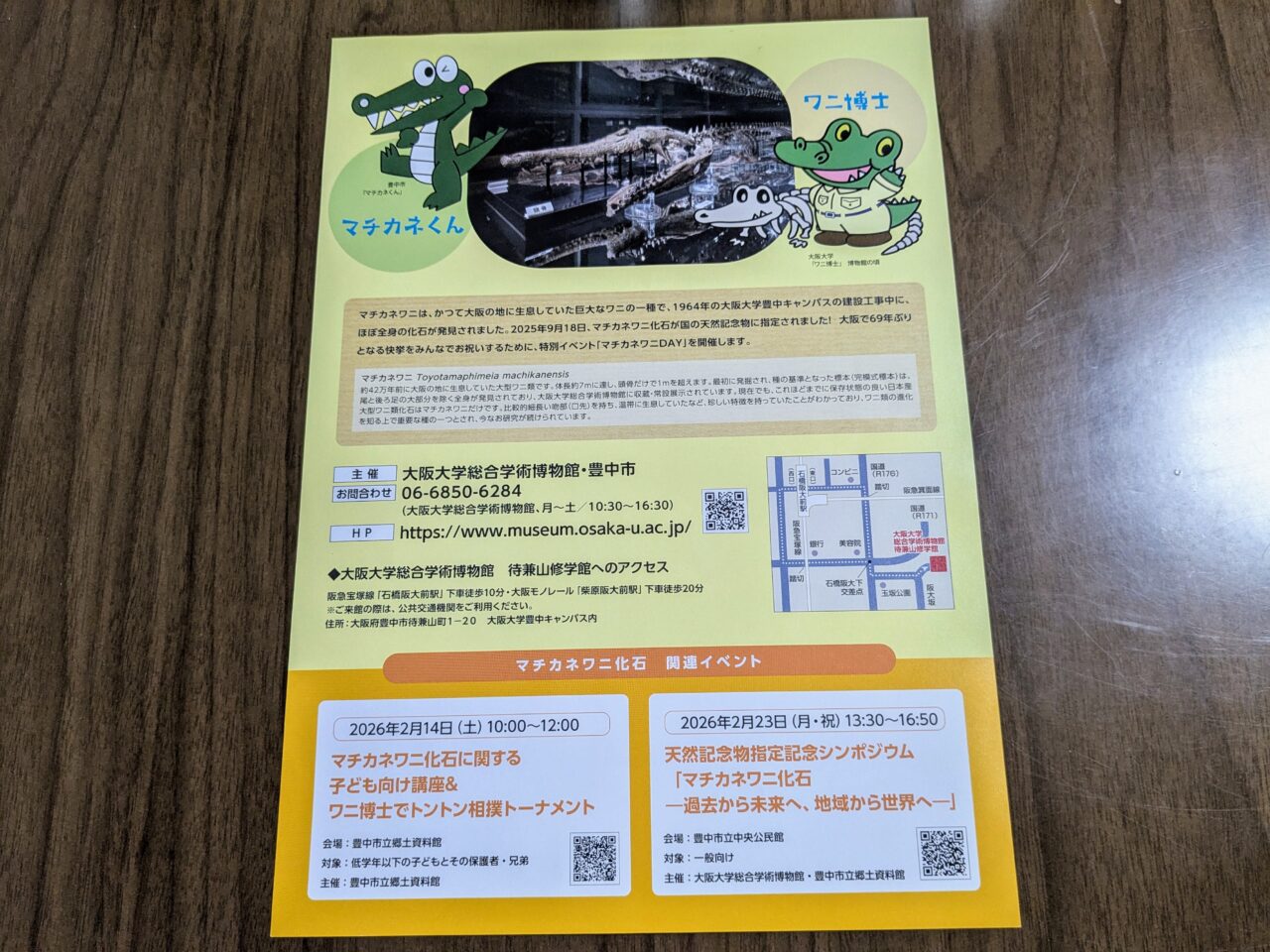 マチカネワニDAY