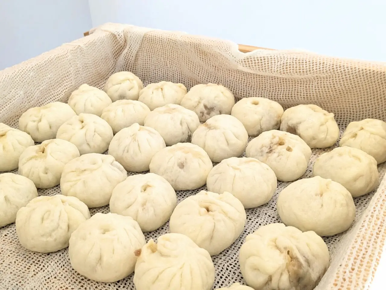 ぶたまん あねらん