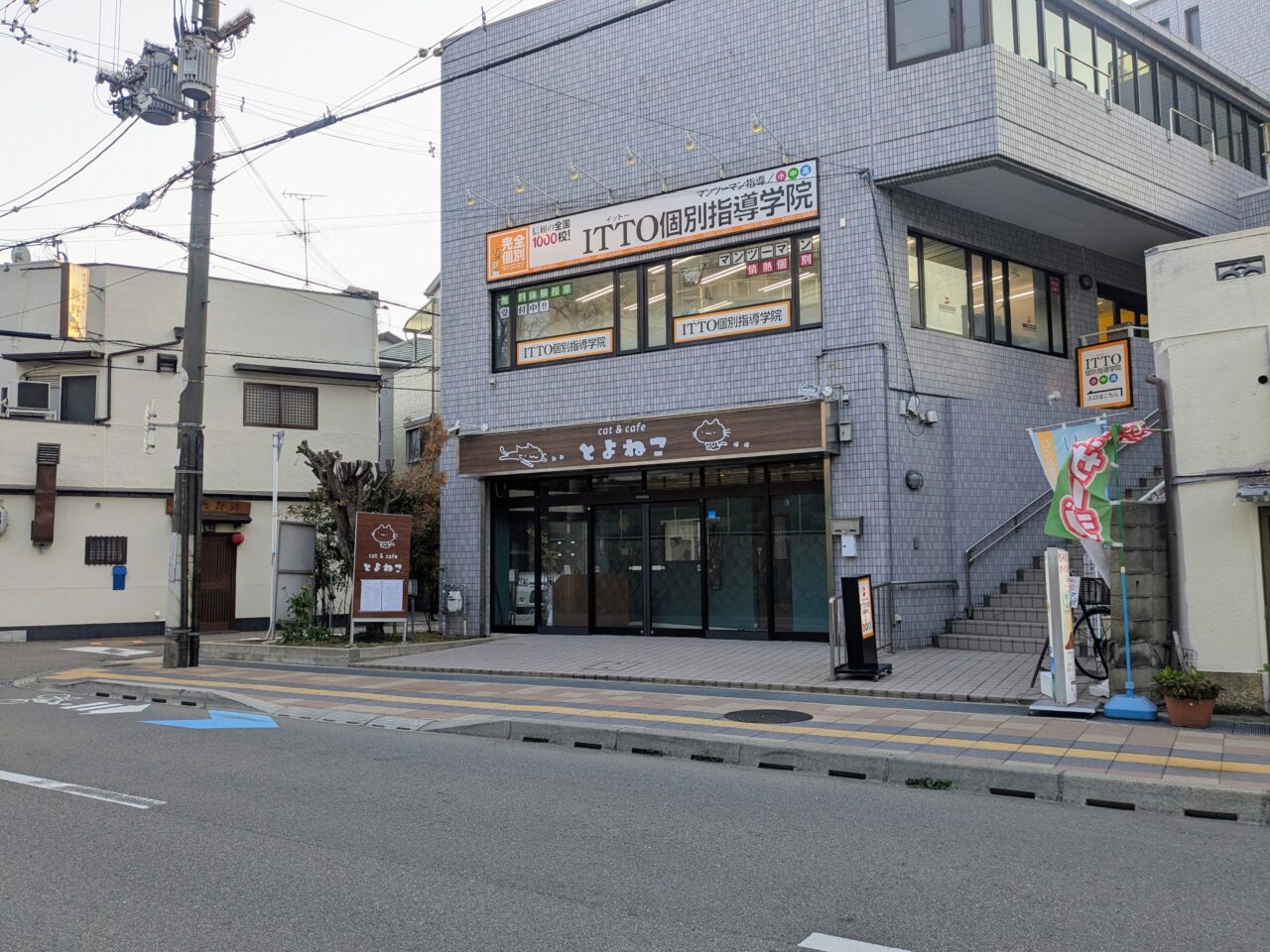 猫カフェとよねこ