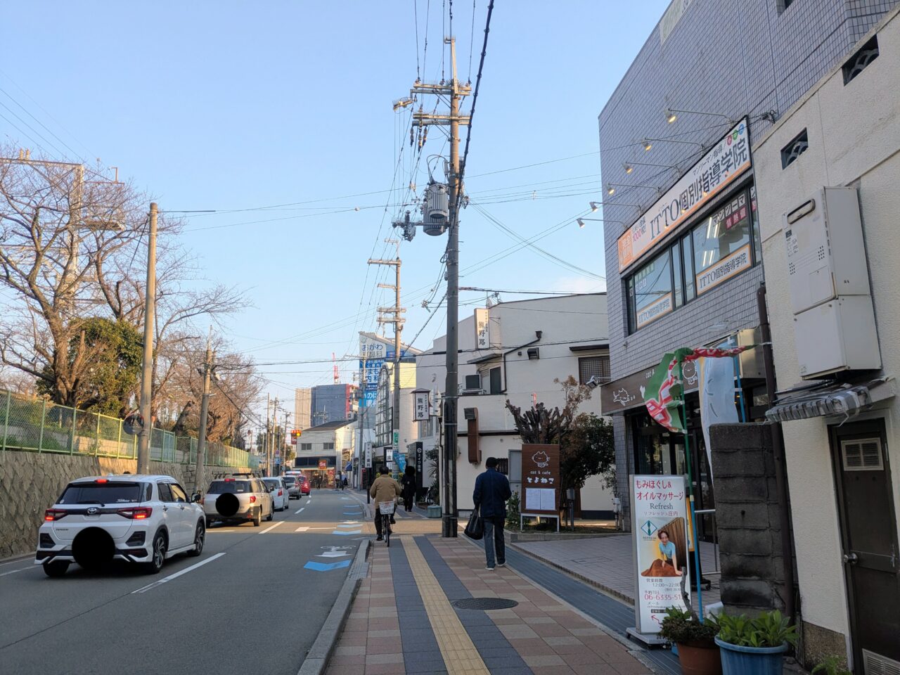 猫カフェとよねこ