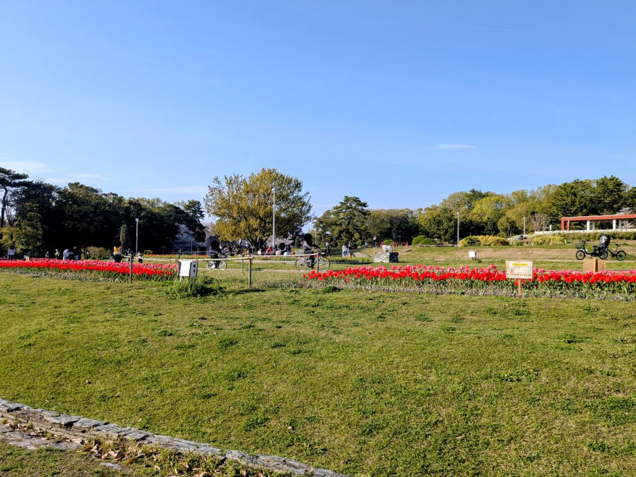 服部緑地 円形花壇