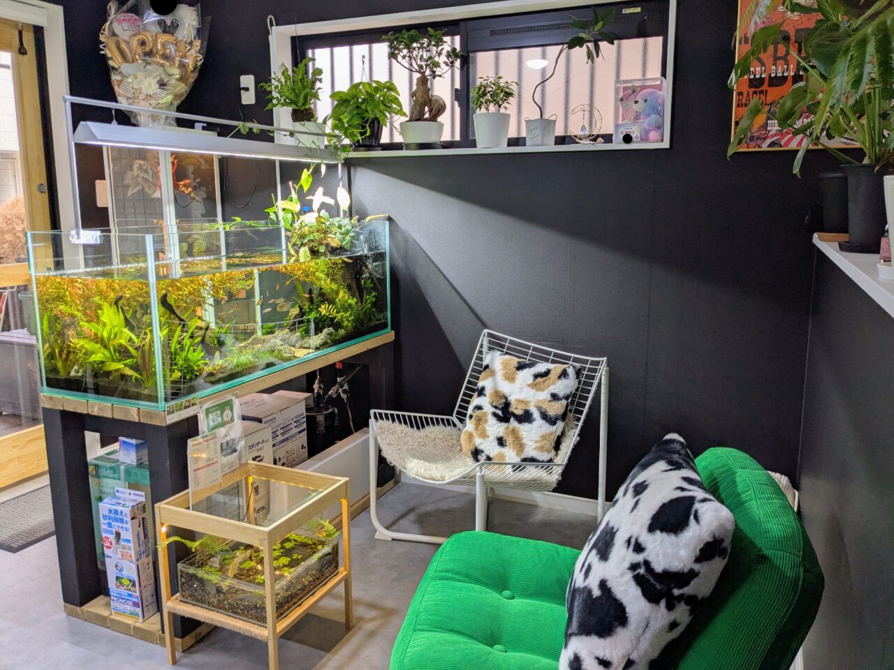 アクアリウムカフェリテラ