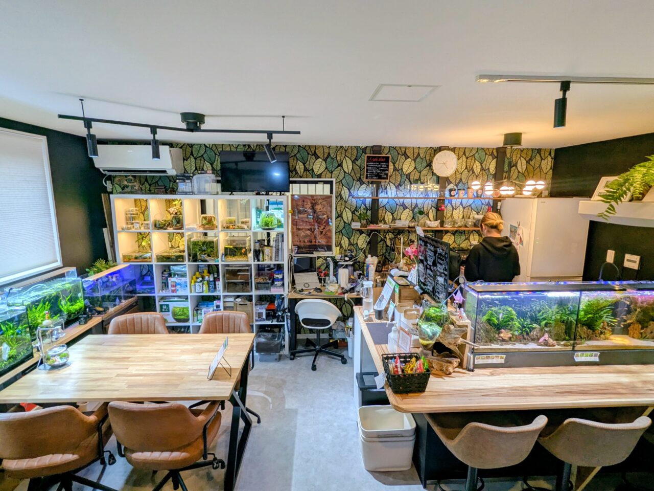 アクアリウムカフェリテラ