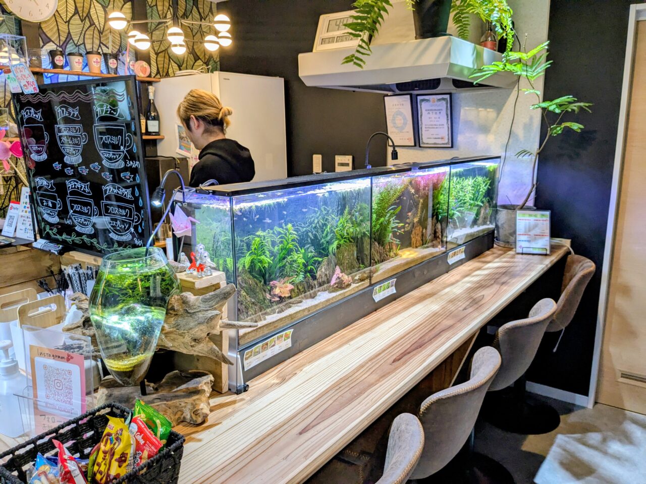 アクアリウムカフェリテラ