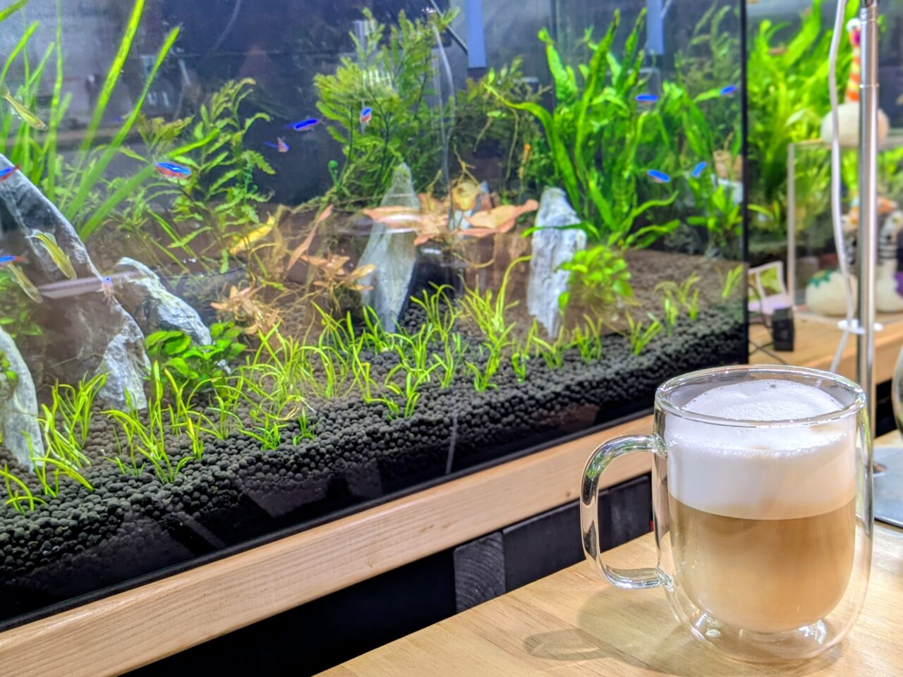 アクアリウムカフェリテラ