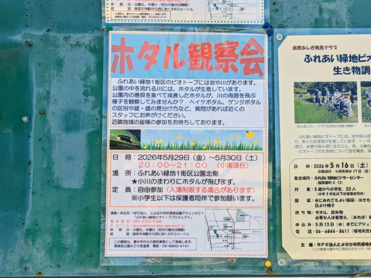 ホタル観察会inふれあい緑地