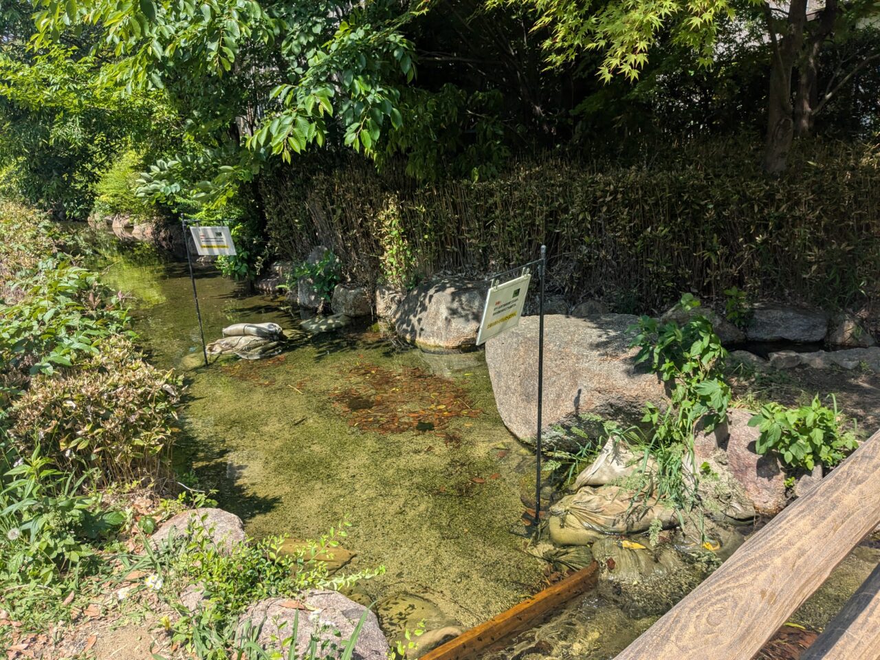 新豊島川　蛍の里