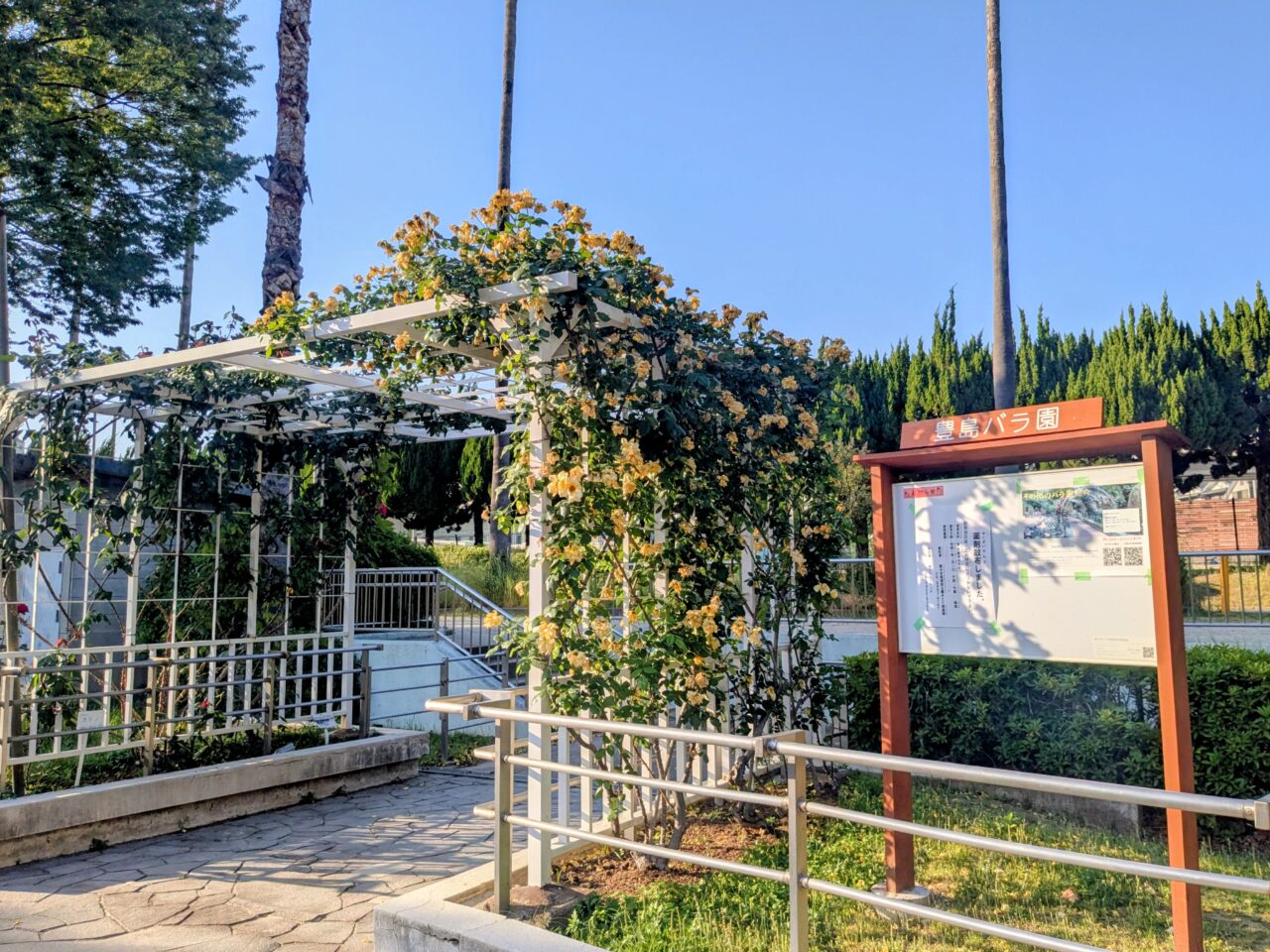 豊島公園バラ園