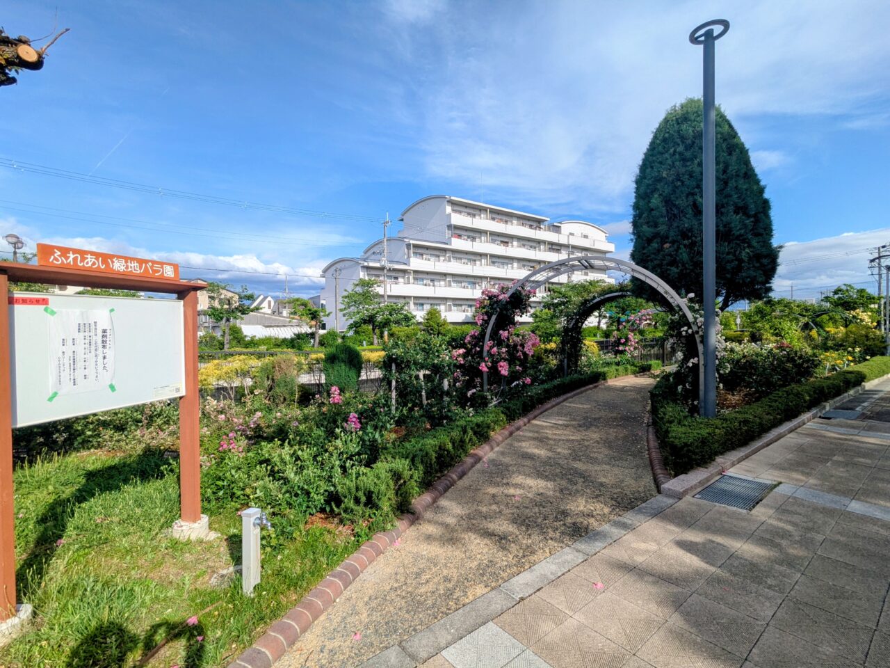 ふれあい緑地バラ園
