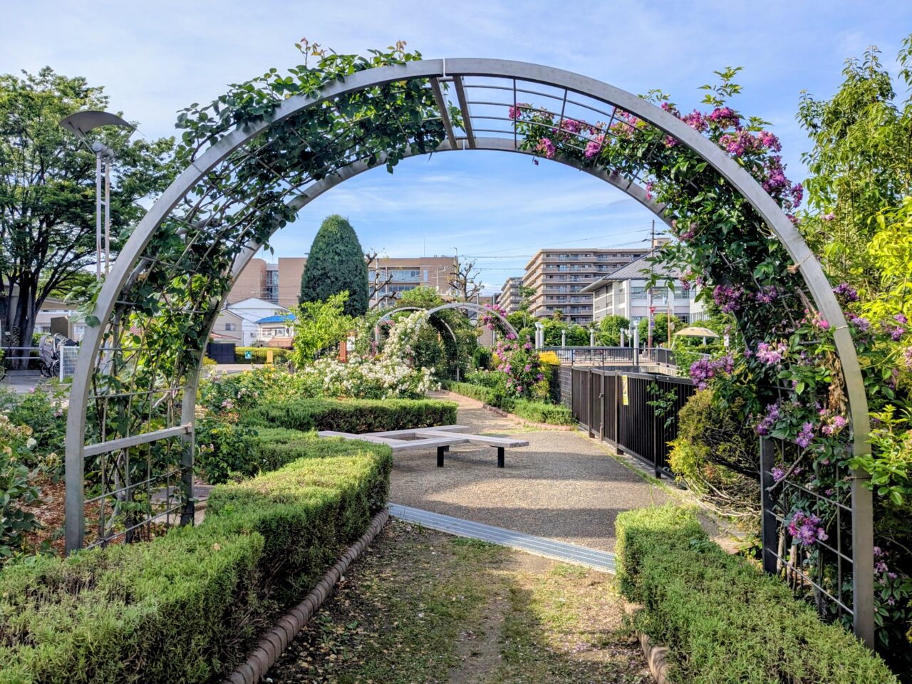 ふれあい緑地バラ園
