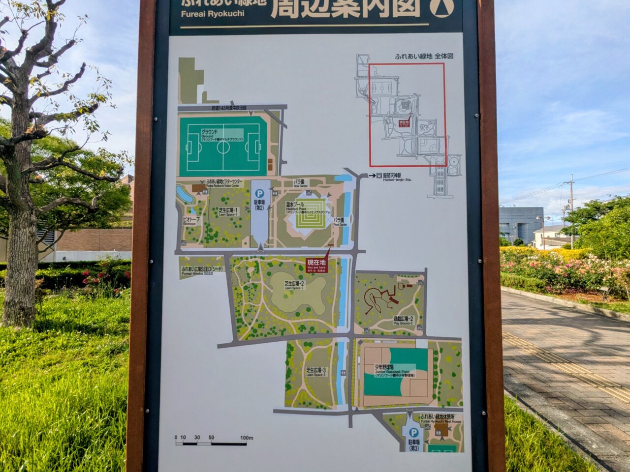 ふれあい緑地バラ園