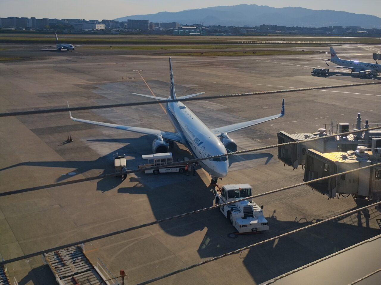 飛行機