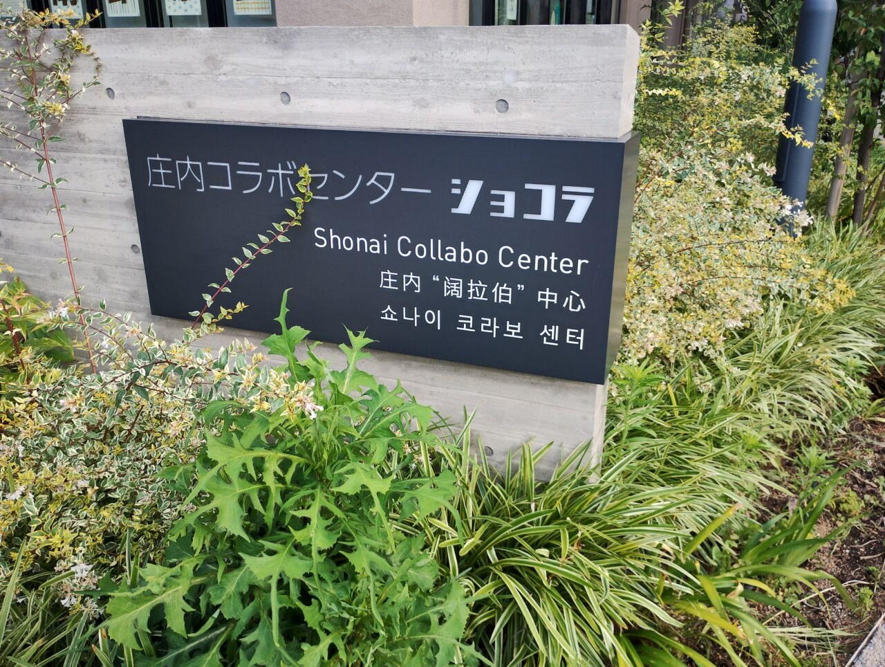 庄内コラボセンターショコラ