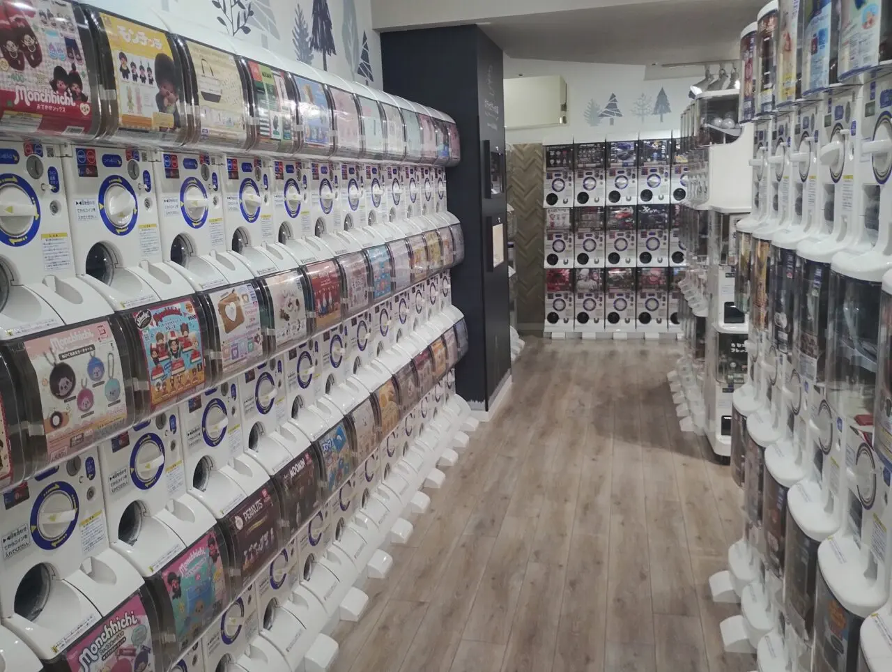 ガチャガチャの森店内