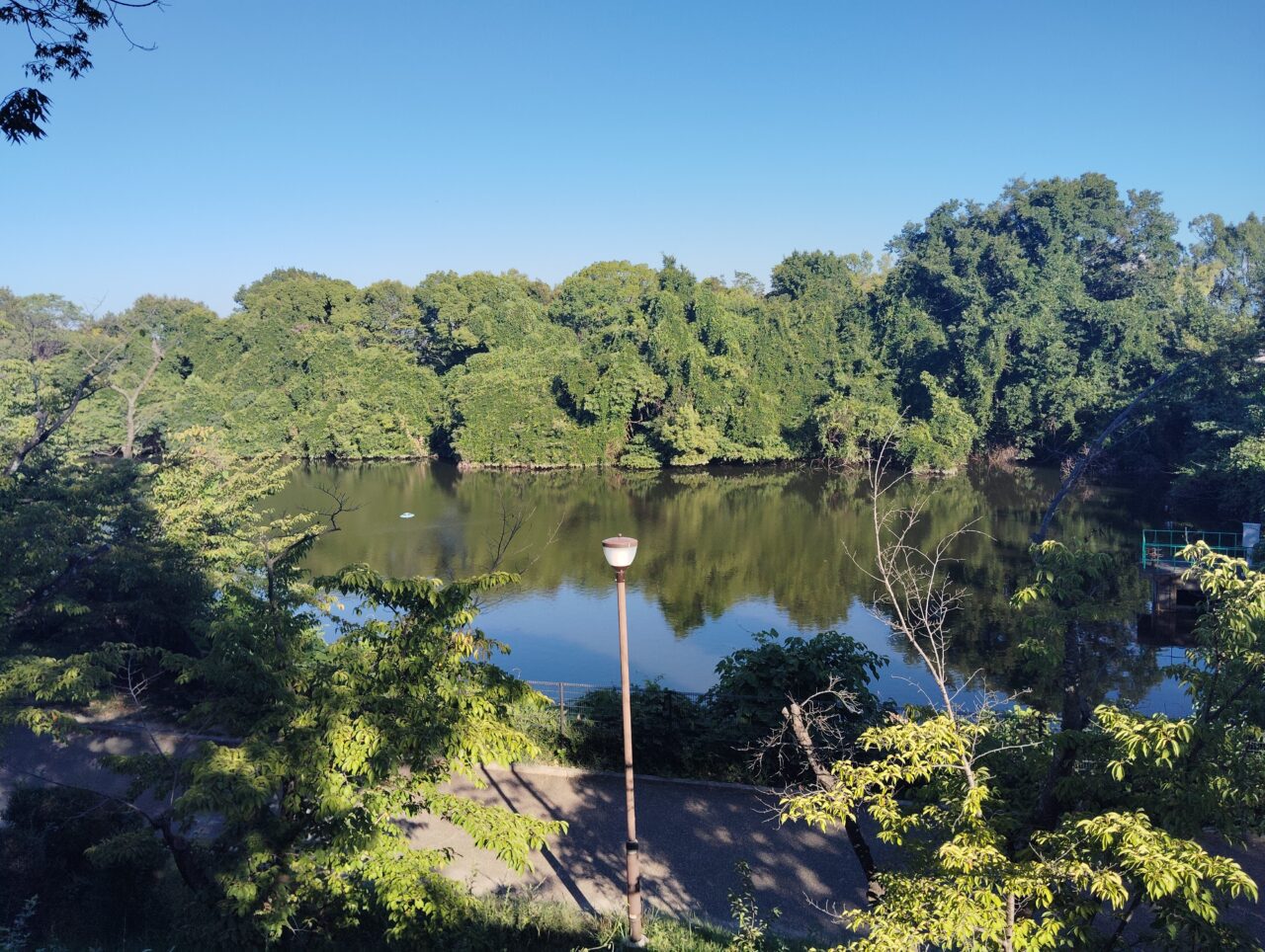 千里中央公園