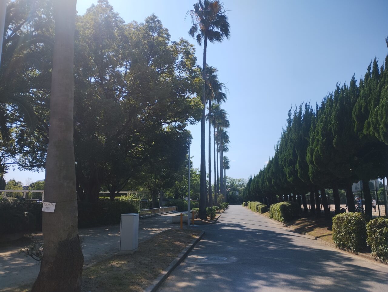 豊島公園