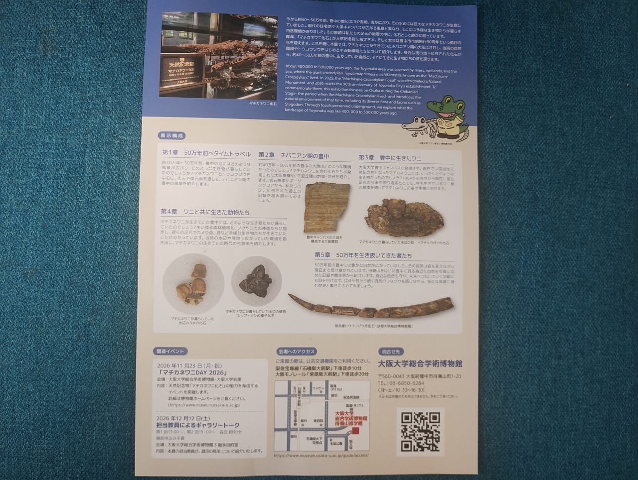 マチカネワニのいた豊中チラシ